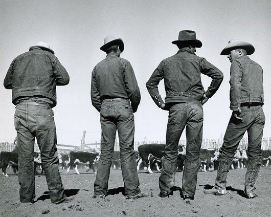 levis 501 cowboy