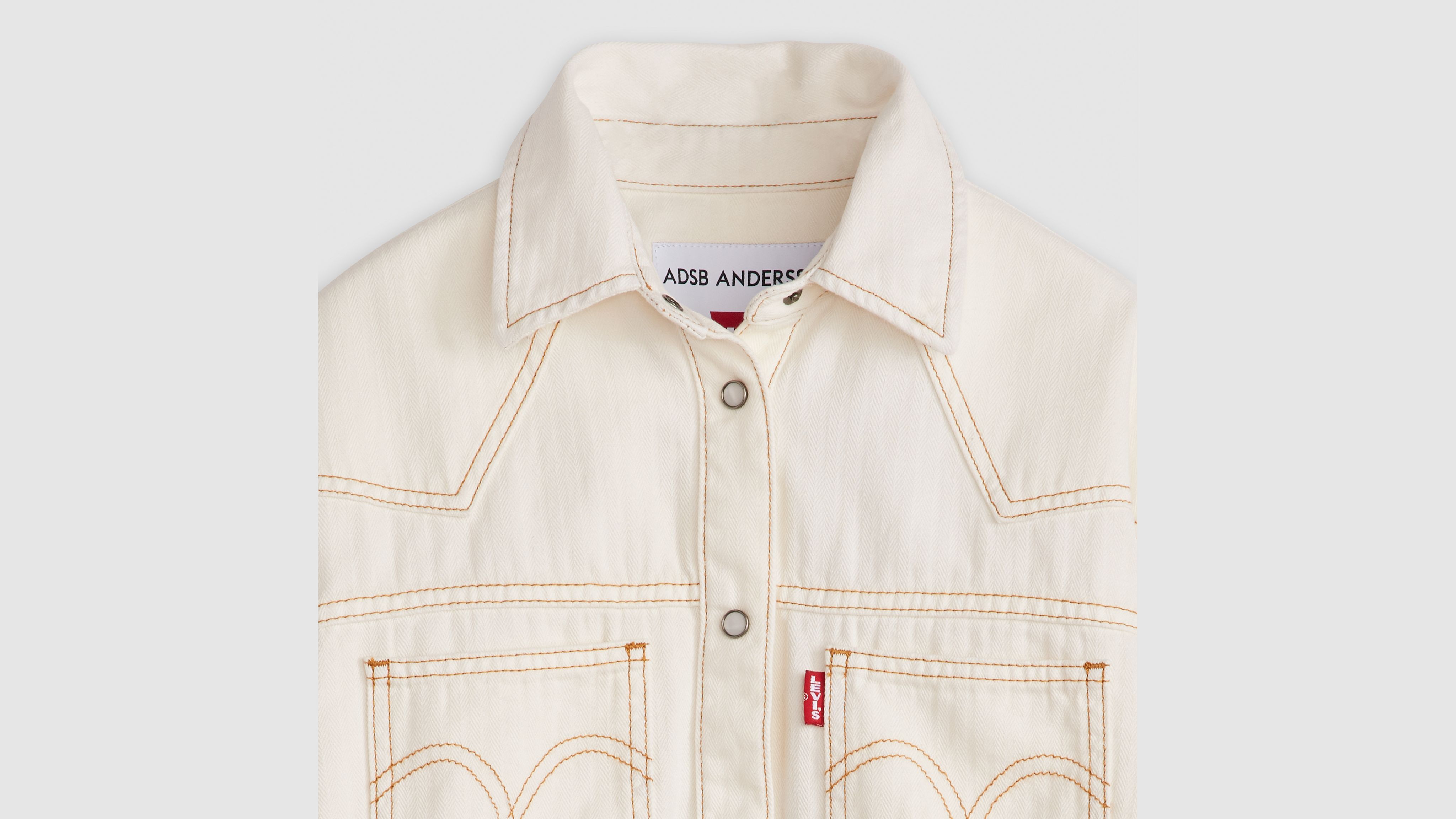 levis celineウィスリー風 セリーヌ