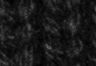 Regular Black - Noir - Bonnet Backpatch
