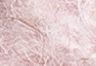 Light Pink - Pink - Backpatch Pom Pom Beanie