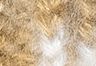 Beige - Blanc - Tuque à appliqué arrière