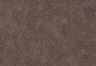 Brown - Bruin