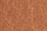 Brandy Brown - Neutral - Cintura Flat Keeper