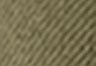 Ivy Green - Green - Baggy Dad Cargo Women's Pants