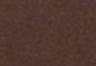 Bracken - Brown - Crystal Ruched Top