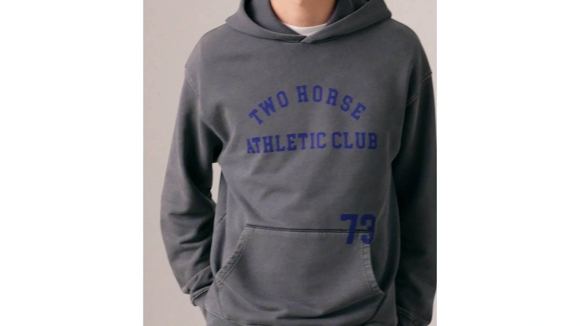 Two Horse Cropped Hoodie 1