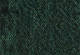 Darkest Spruce - Vert - 501MD L'Original Jean pour homme