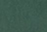 Garden Topiary Shady - Green - Levi's® XX Chino Standard Taper Fit Men's Pants