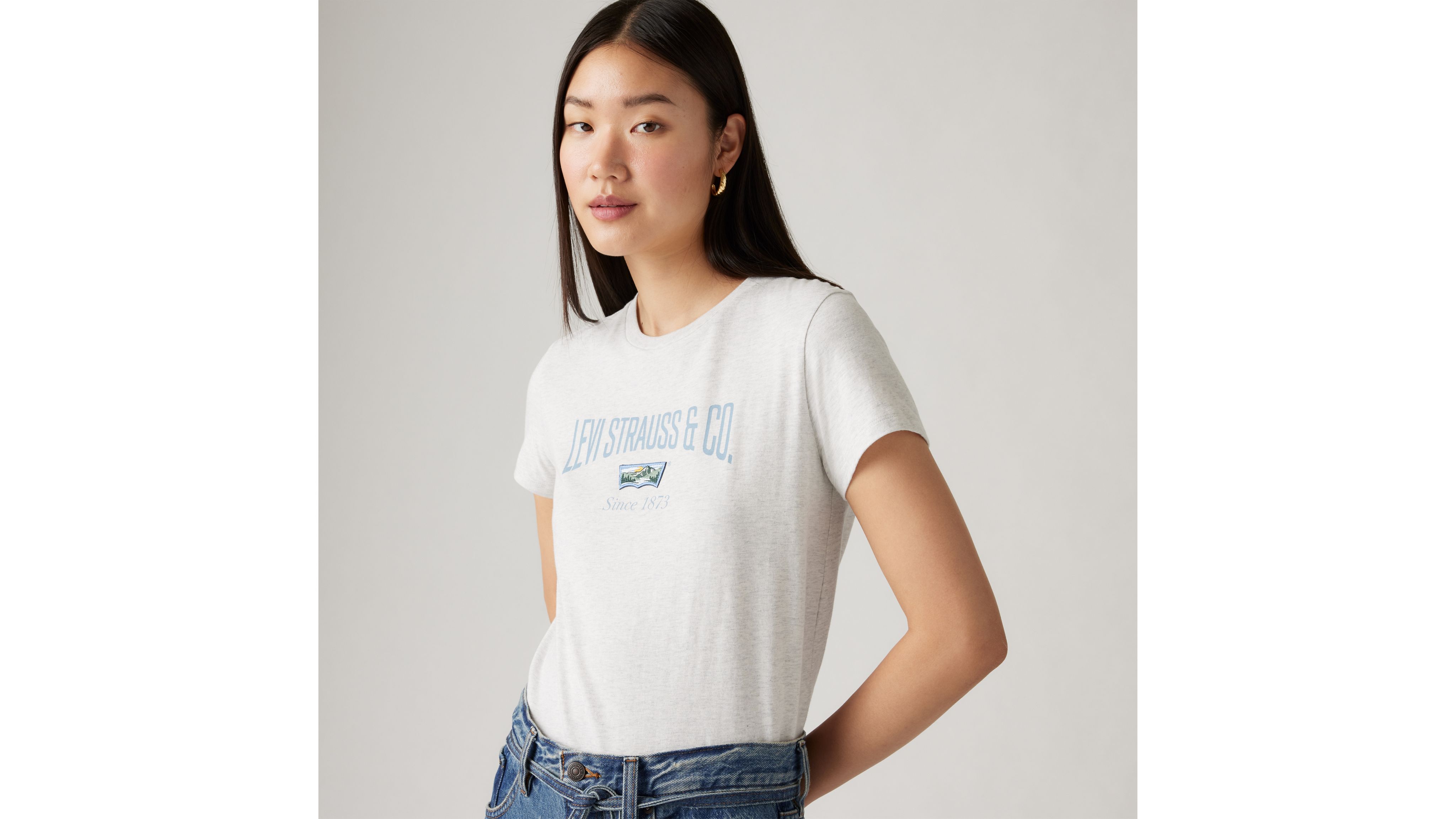 Den perfekte T-shirt 1