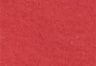 Earth Red - Rojo - Camiseta estampada Rickie