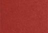 Graphic Daisy Burnt Sienna - Rojo