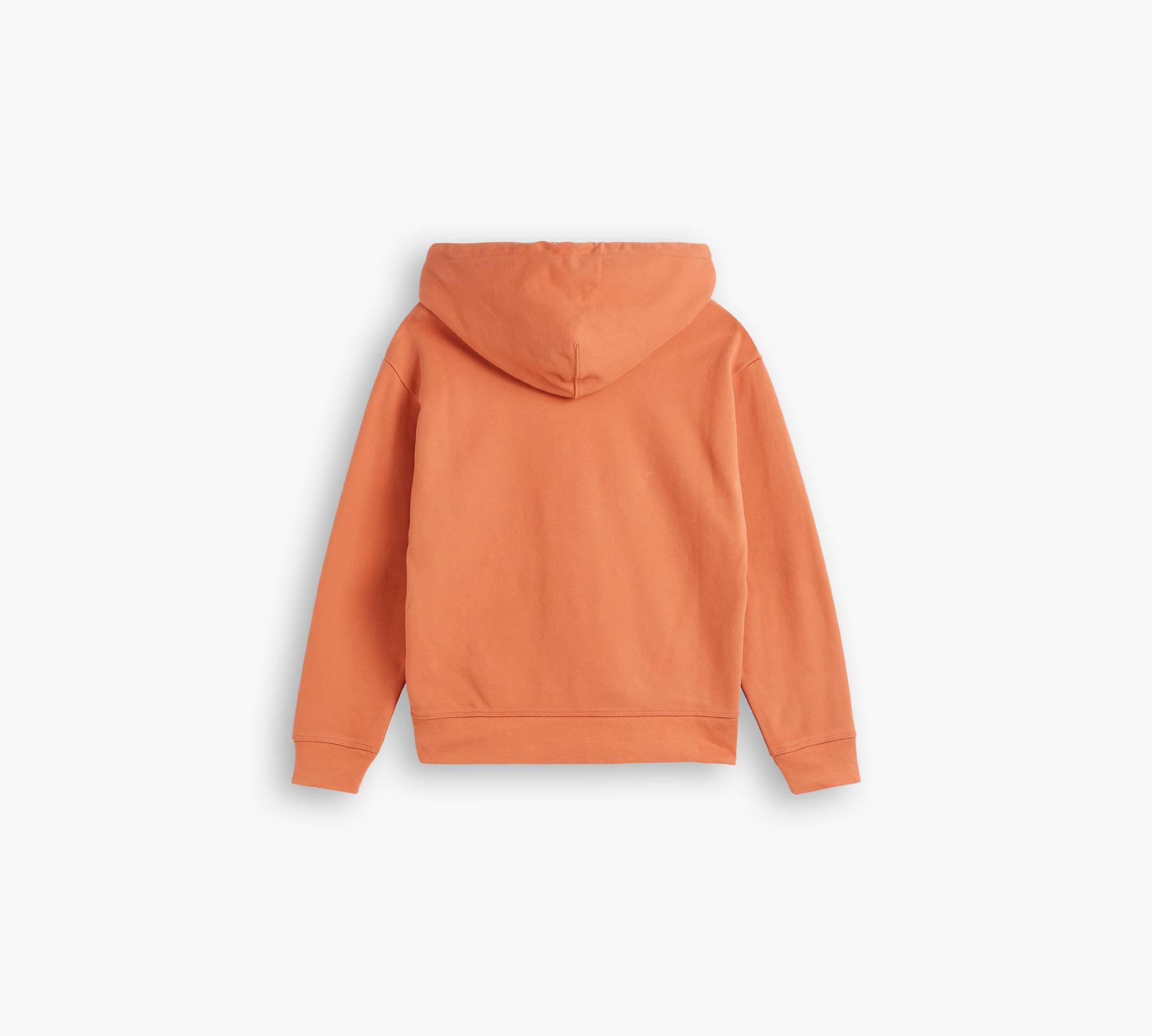 Standard Graphic Hoodie - Orange | Levi's® PL