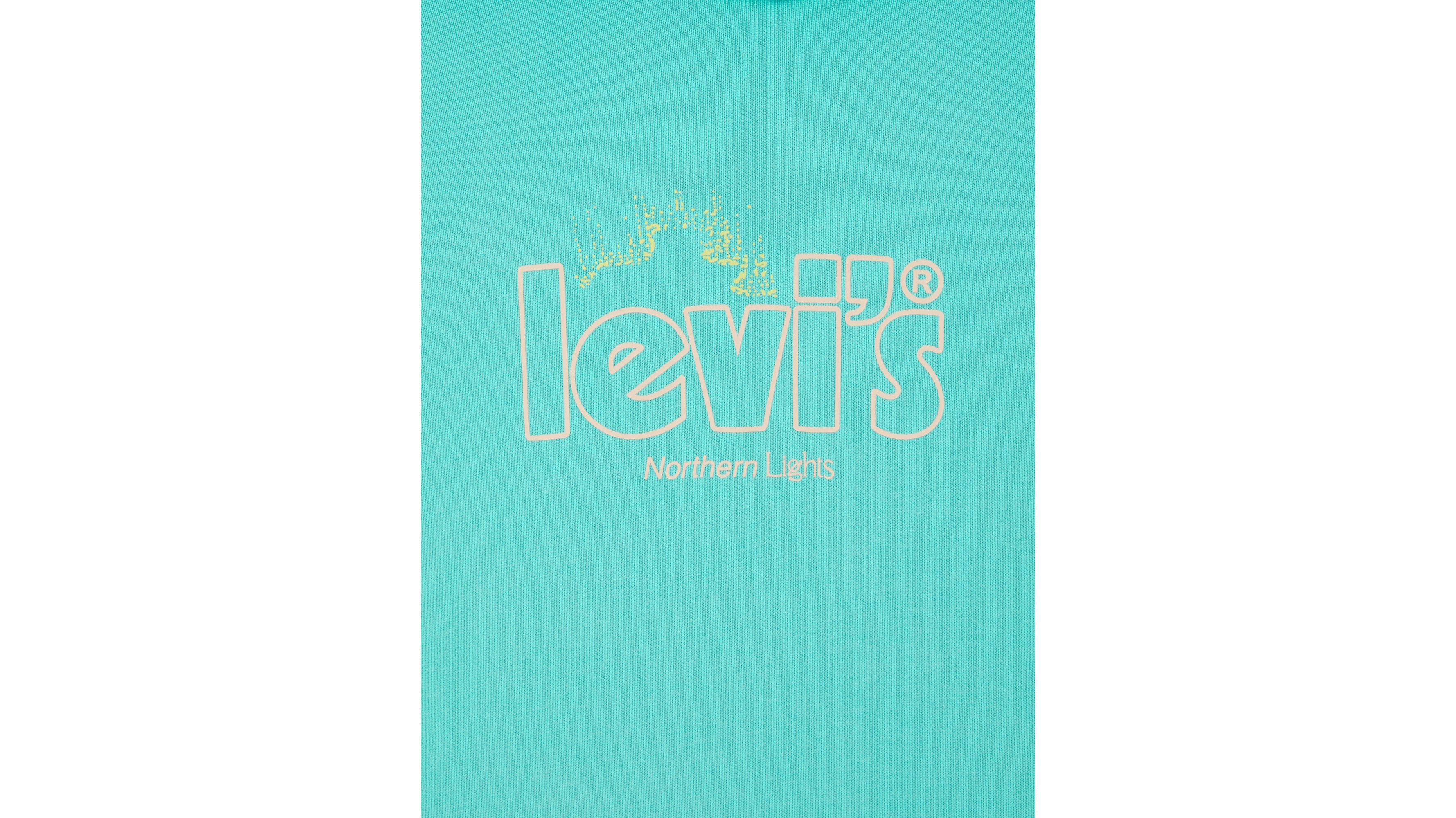 Sweat à capuche Graphic Standard Levi's® 6