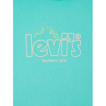 Levi's® Graphic Standard Hoodie 6