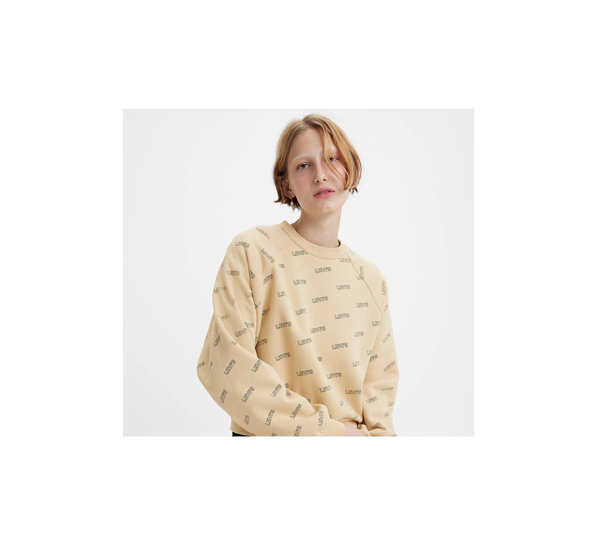 Vintage Raglan Crewneck Sweatshirt - Tan | Levi's® US