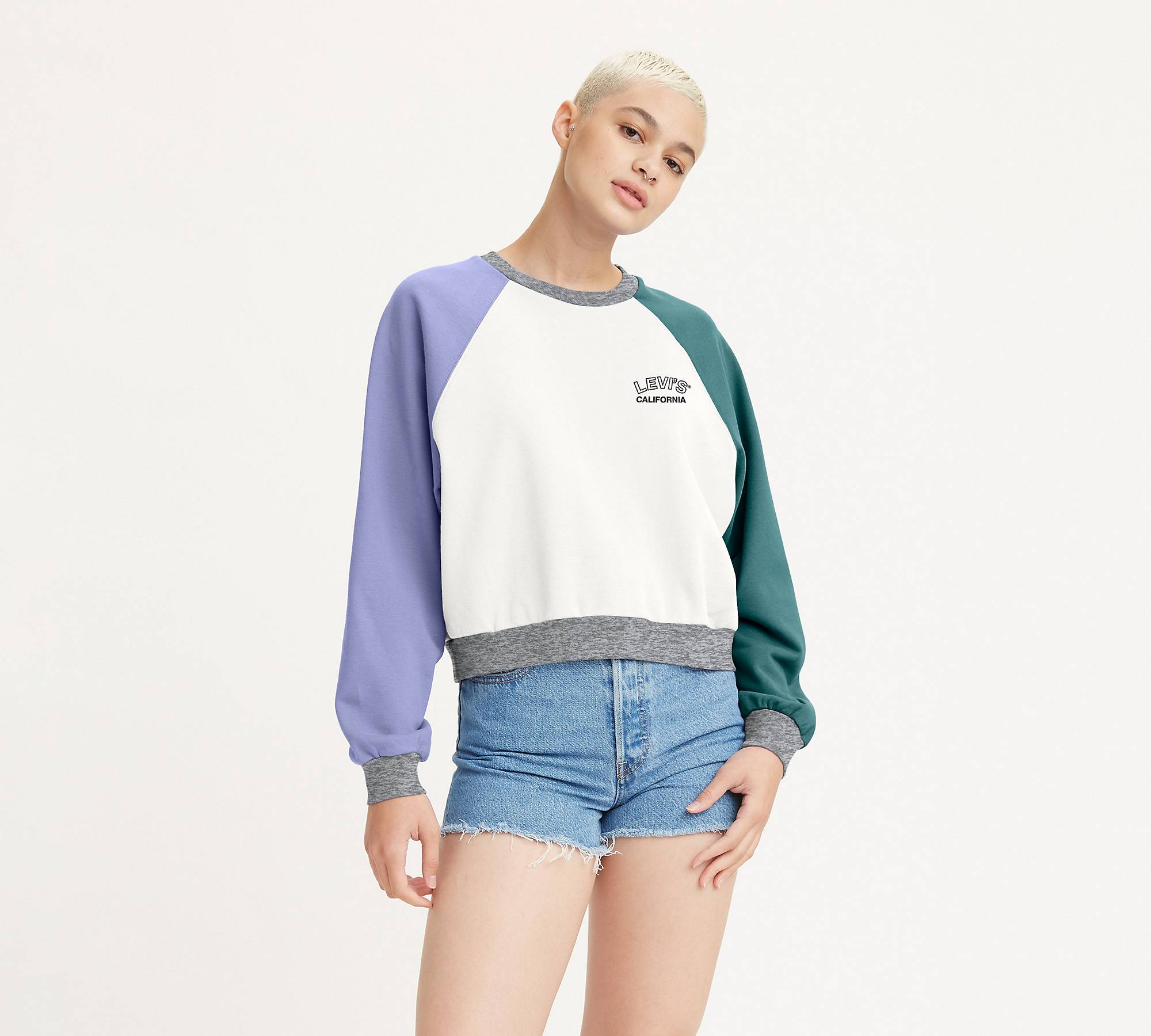 Vintage Raglan Crewneck Sweatshirt - Multi-color