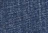 Lapis Storm - Dark Wash - 311 Shaping Skinny Women's Jeans (Plus Size)
