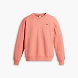 Standard Crewneck Sweatshirt 5