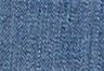 Worn In Indigo - Dark Wash - Boyfriend Women's Jeans (Plus Size)
