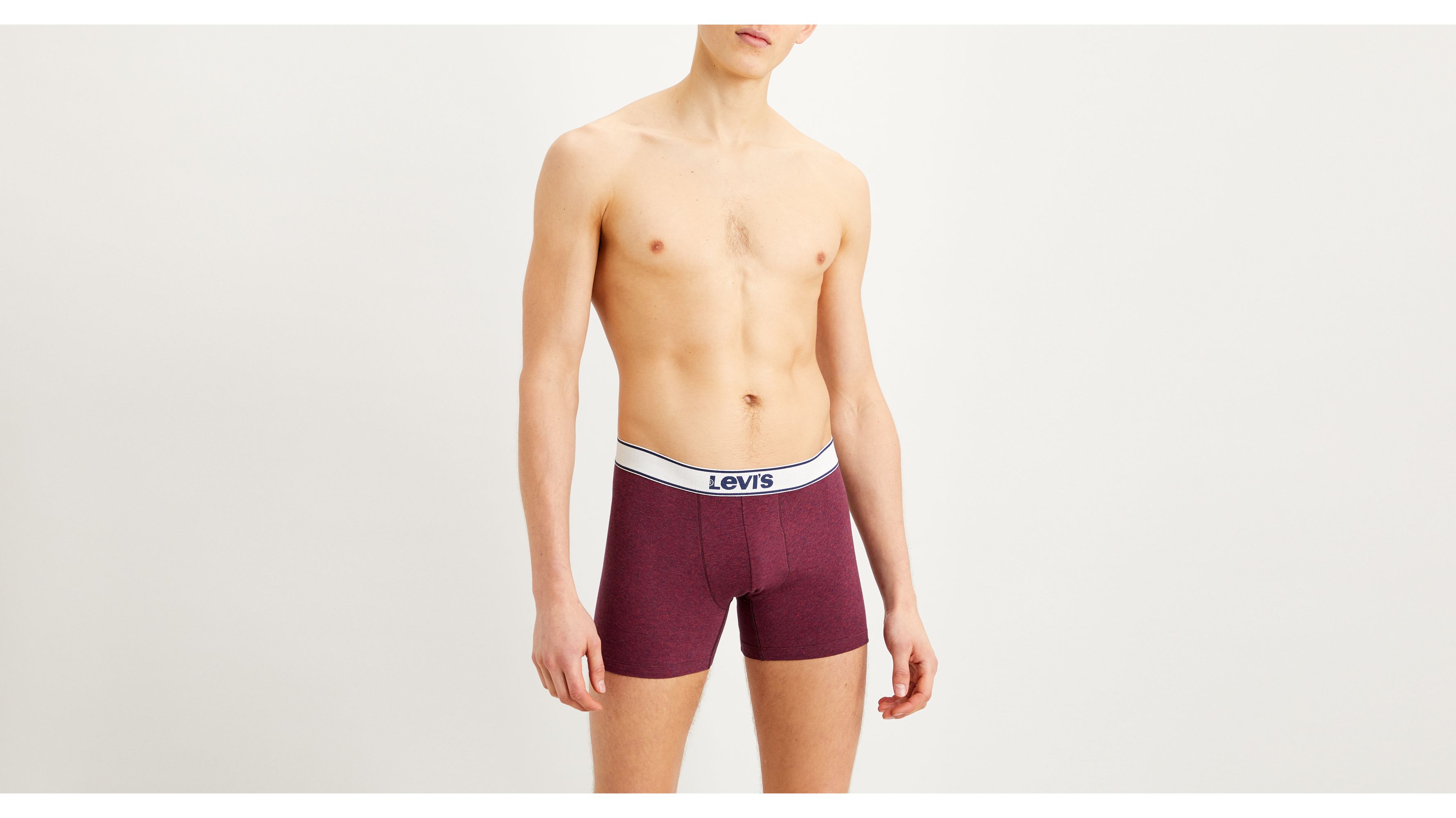 Levi's Boxer Brief - 2 Pack - Neutral 