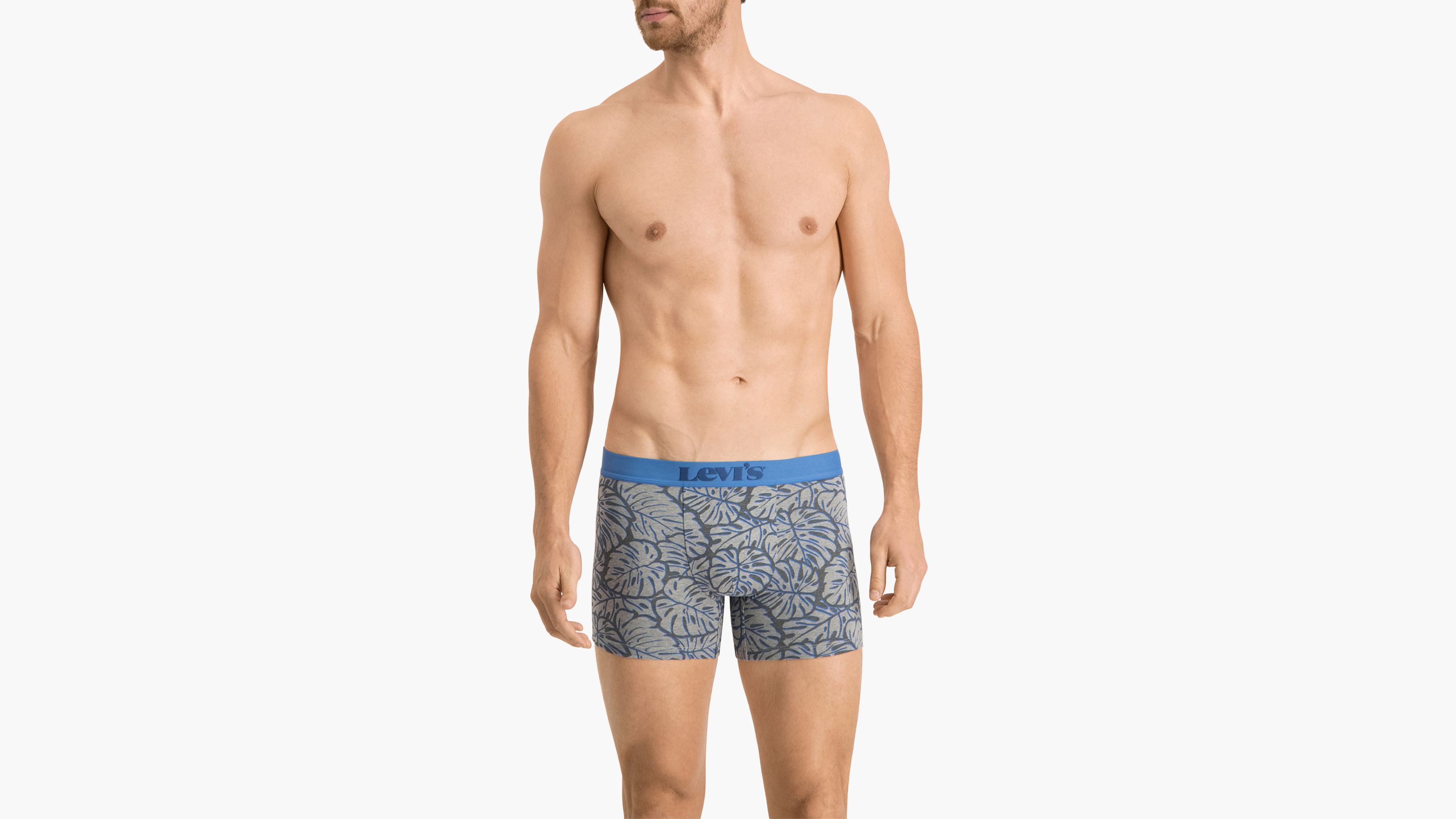 Levi's® Basic Boxer Brief - 2 Pack 4