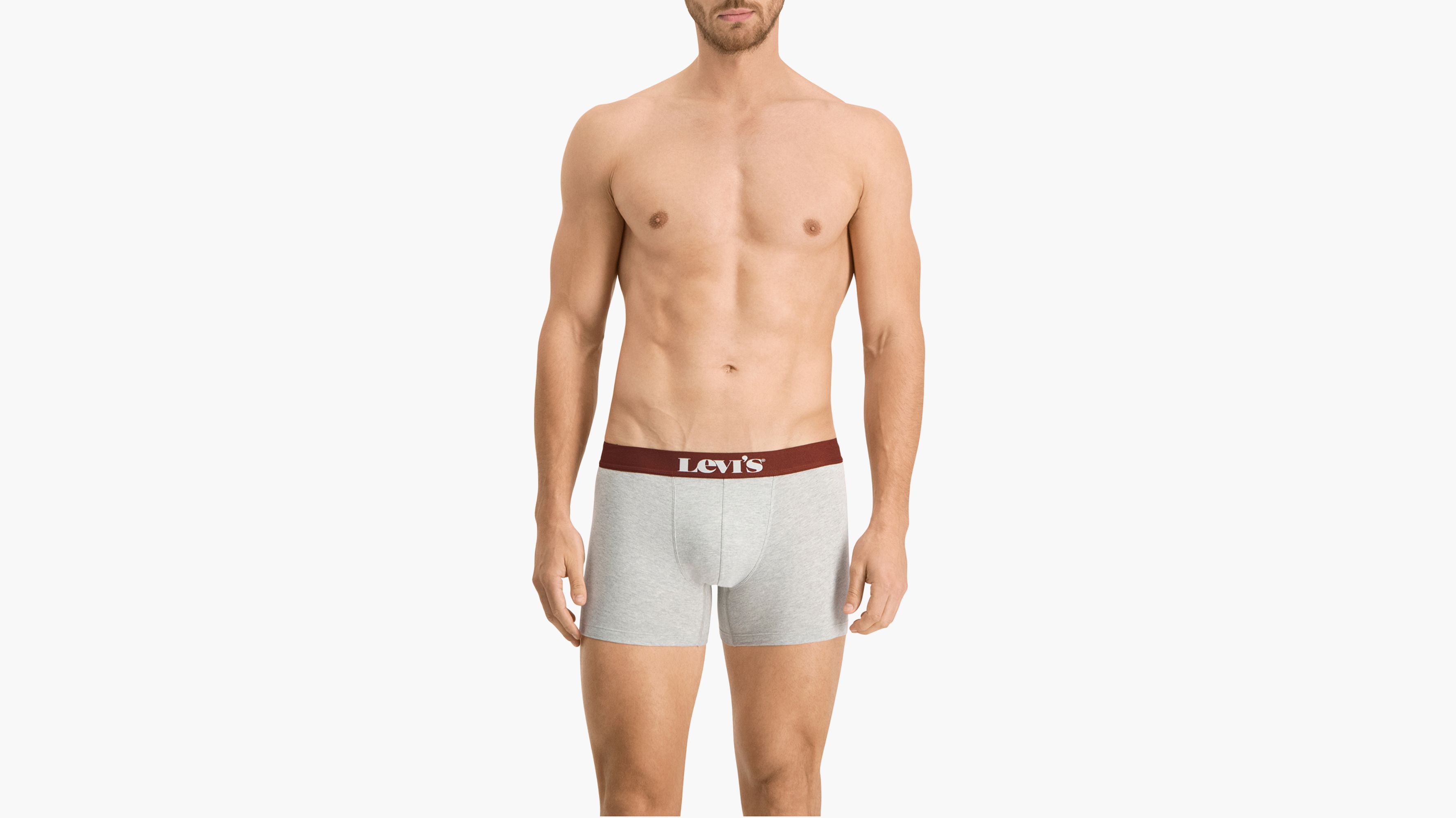 Levi's® Basic Boxershorts – 2er-Pack 4