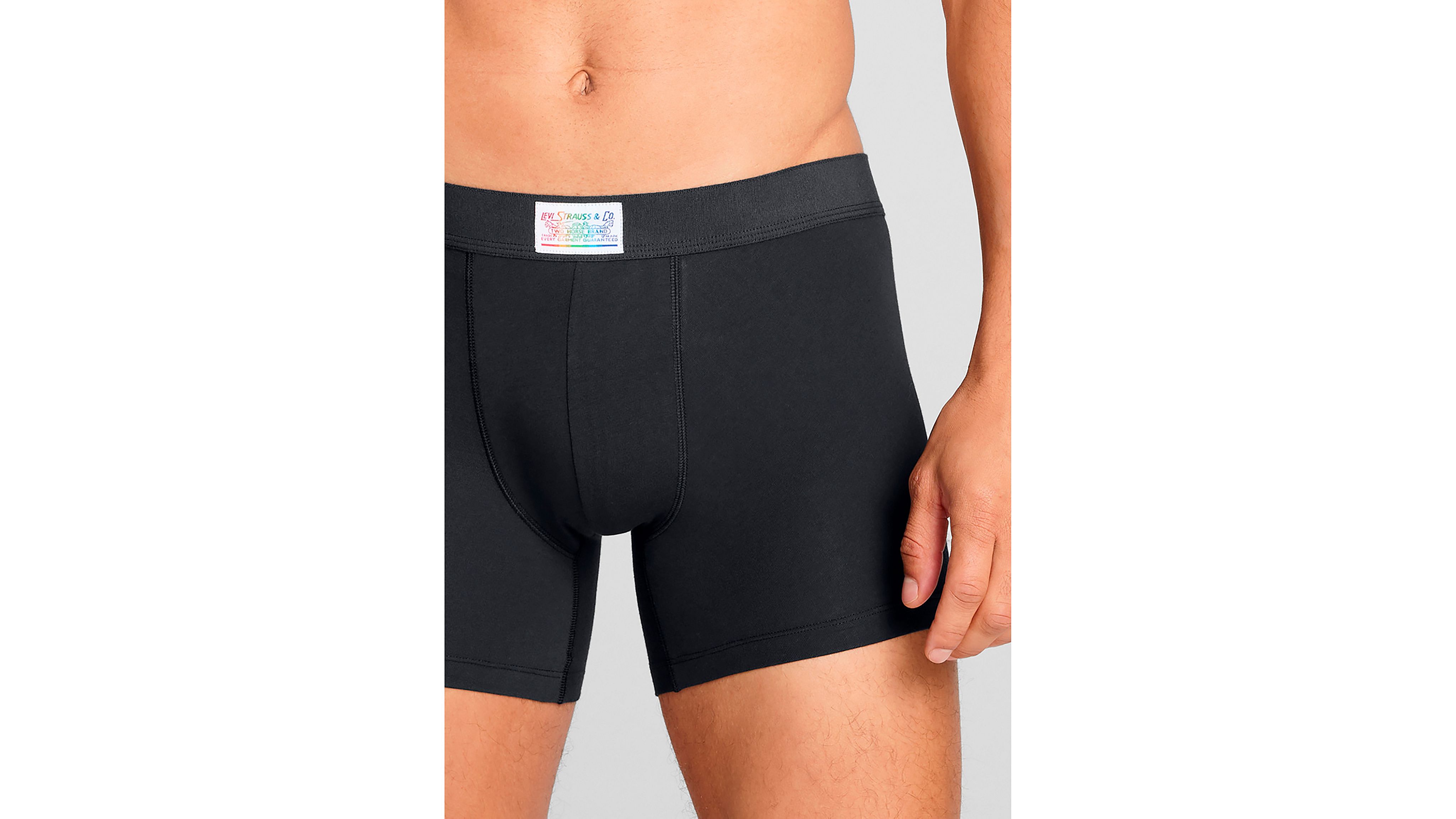 Pride Boxer Brief 2p 7