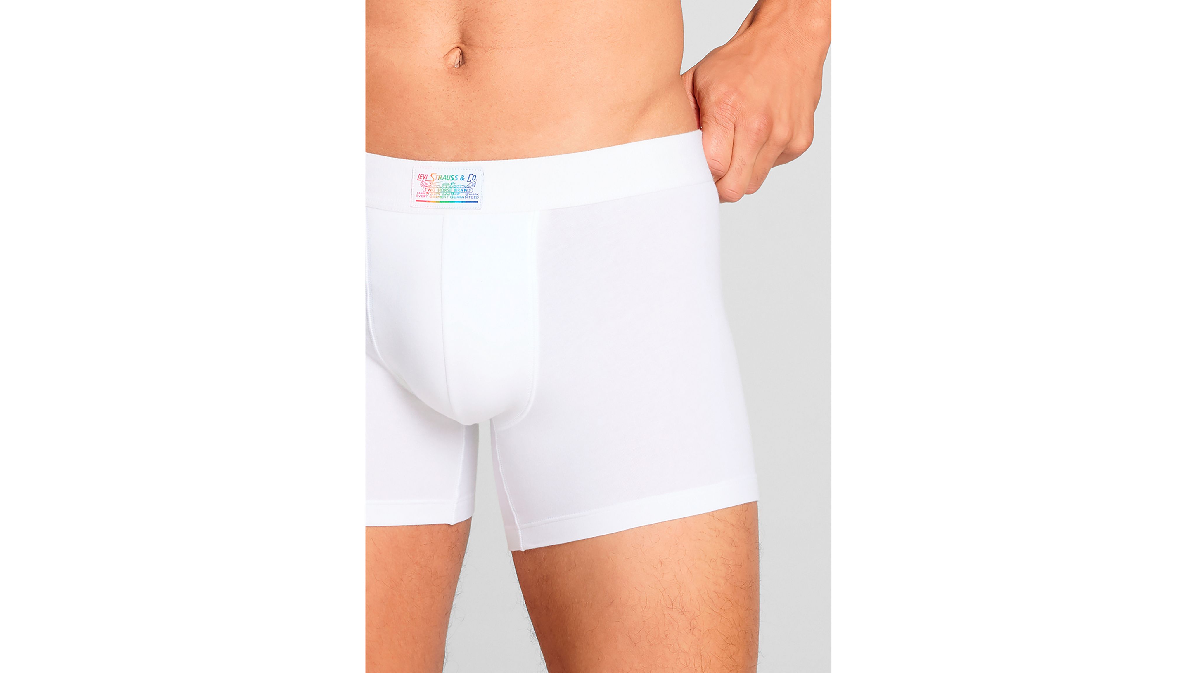 Pride Boxer Brief 2p 8