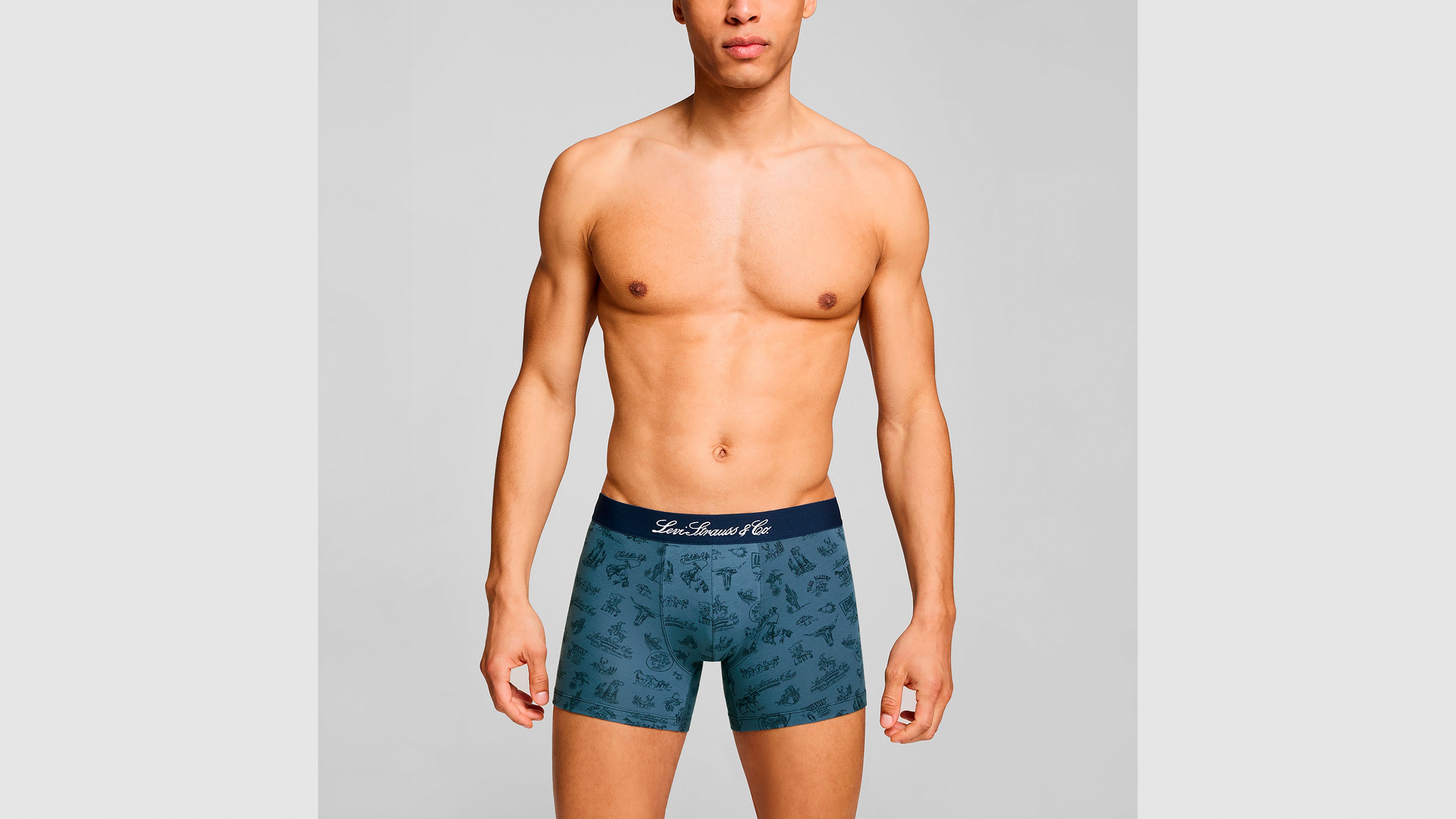 Levi's® Western Icon Boxer Brief - 2 Pack 2