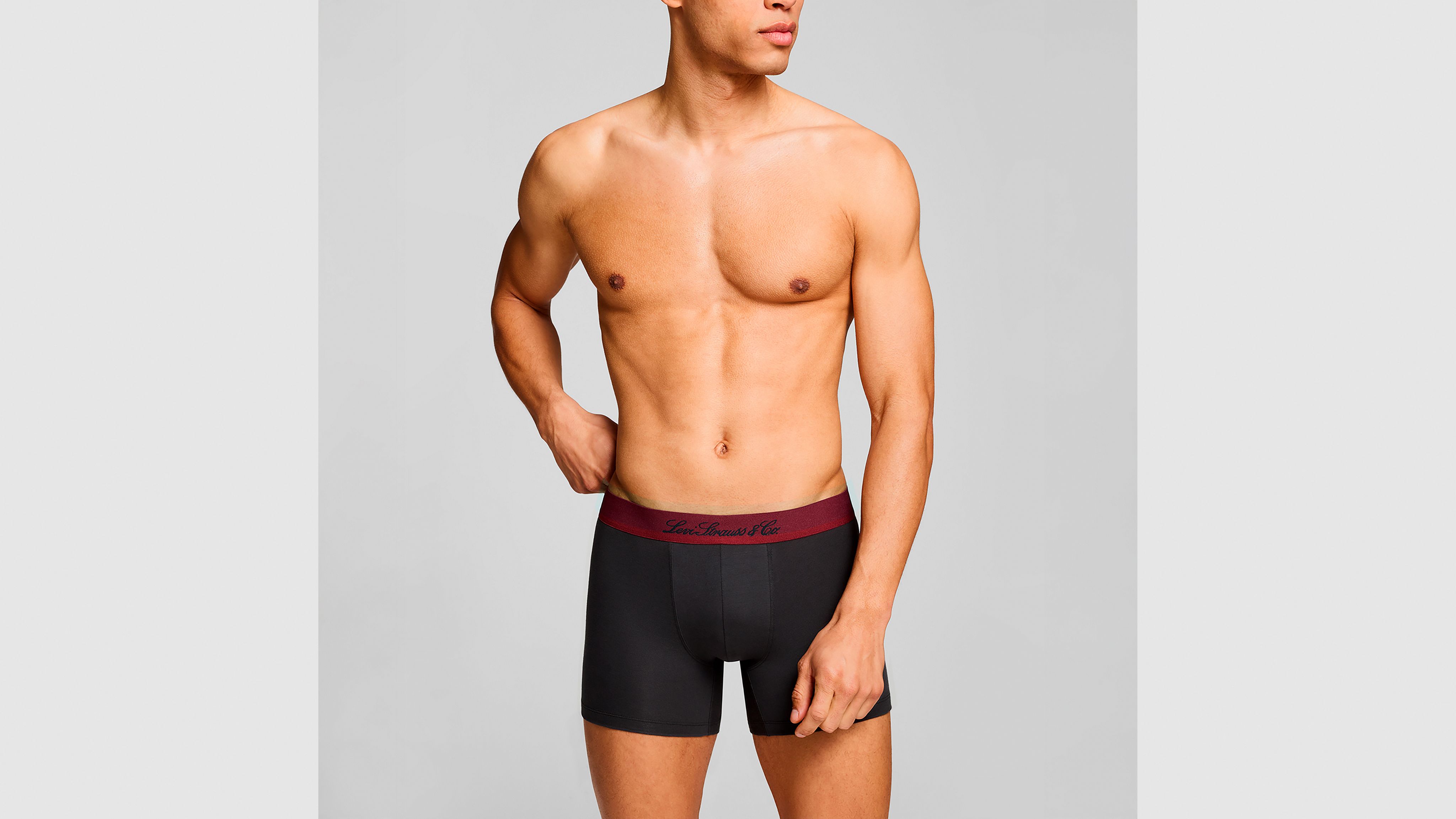 Levi's® Western Icon Boxer Brief - 2 Pack 3