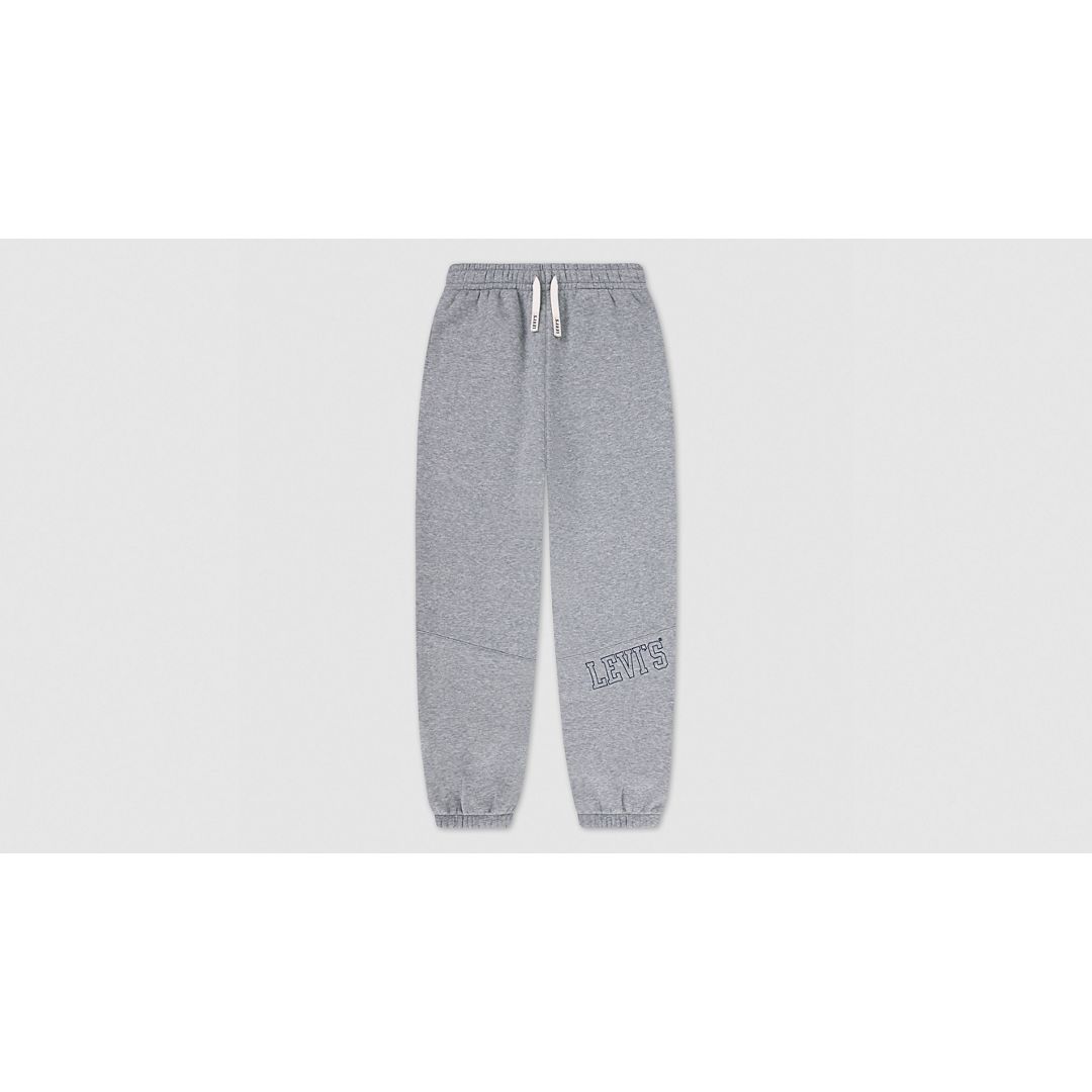 Levi's 3d  Jogger Big Boys S-xl Pants Xl In Animal Print
