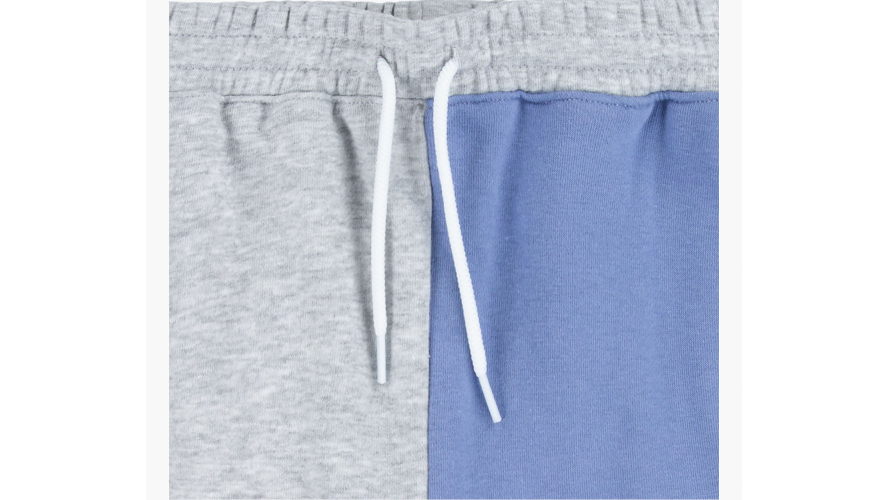 Colorblocked Jogger Shorts Big Boys S-xl - Multi-color | Levi 