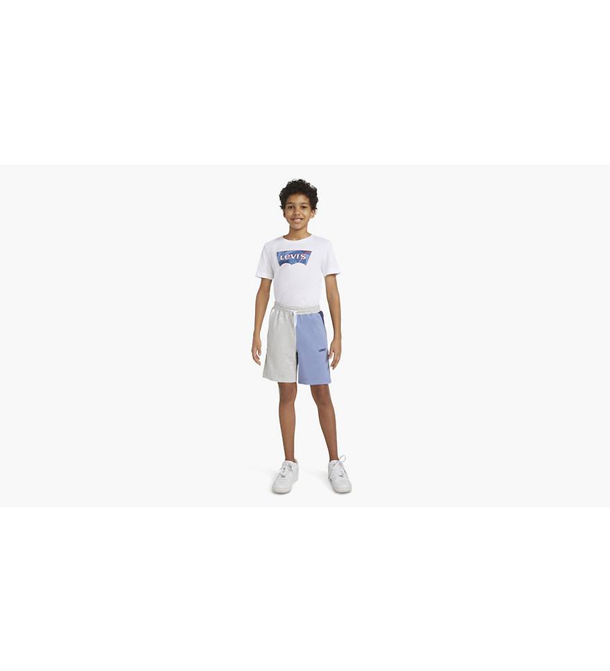 Colorblocked Jogger Shorts Big Boys S-xl - Multi-color