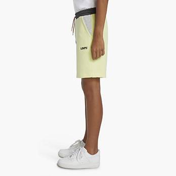 Colorblocked Jogger Shorts Big Boys S-XL 4