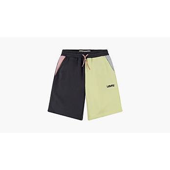 Colorblocked Jogger Shorts Big Boys S-XL 8
