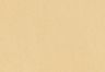 Lark - Beige - Everyday Essential Cargo Shorts Big Boys 8-20