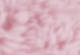 Roseate Spoonbill - Pink