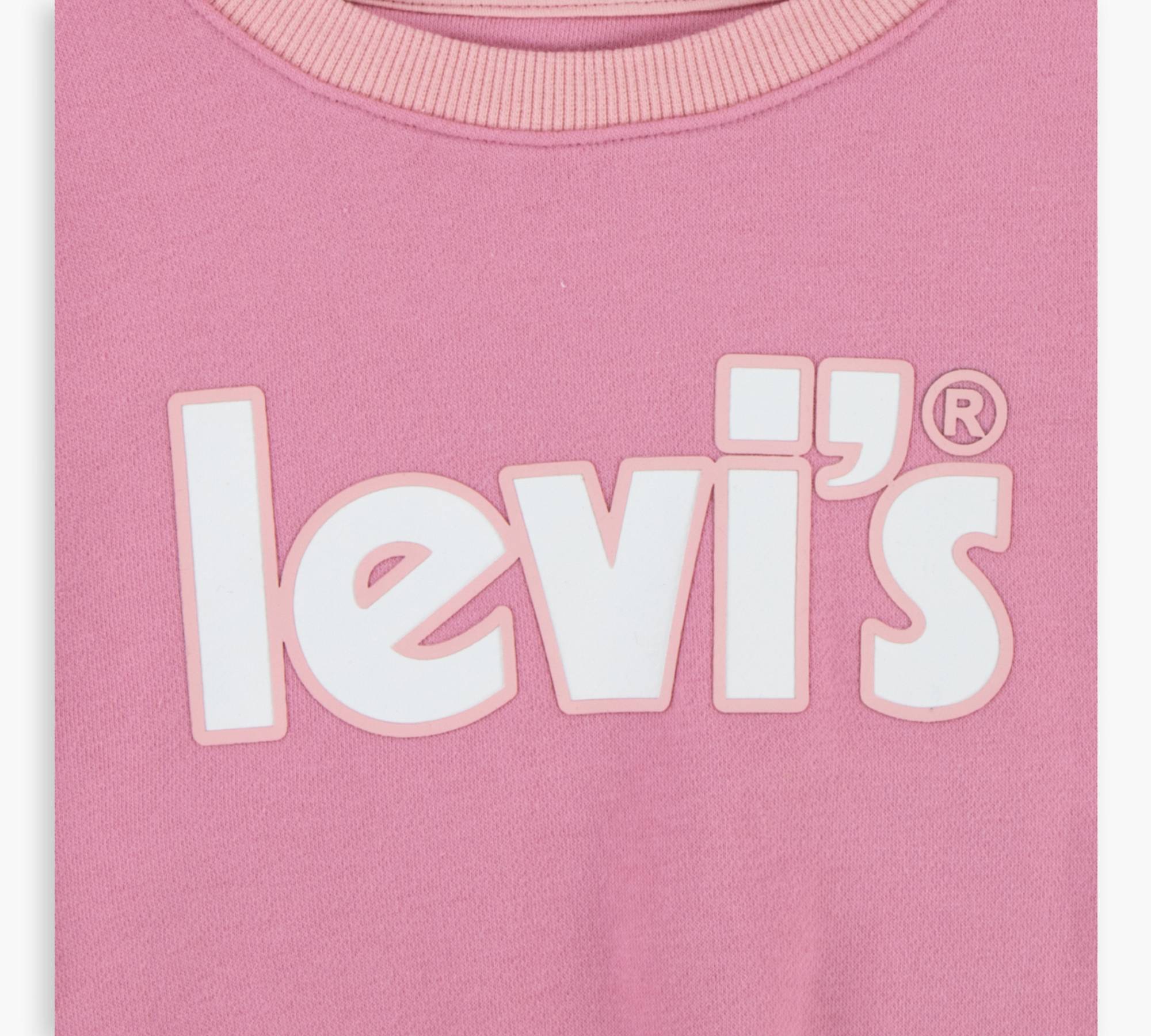 Colorblock Crewneck Shirt Big Girls S-xl - Pink | Levi's® US