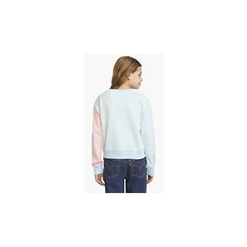 Colorblock Crewneck Sweatshirt Big Girls S-XL 2