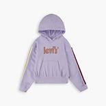 Levi's® Pullover Hoodie Big Girls S-XL 1