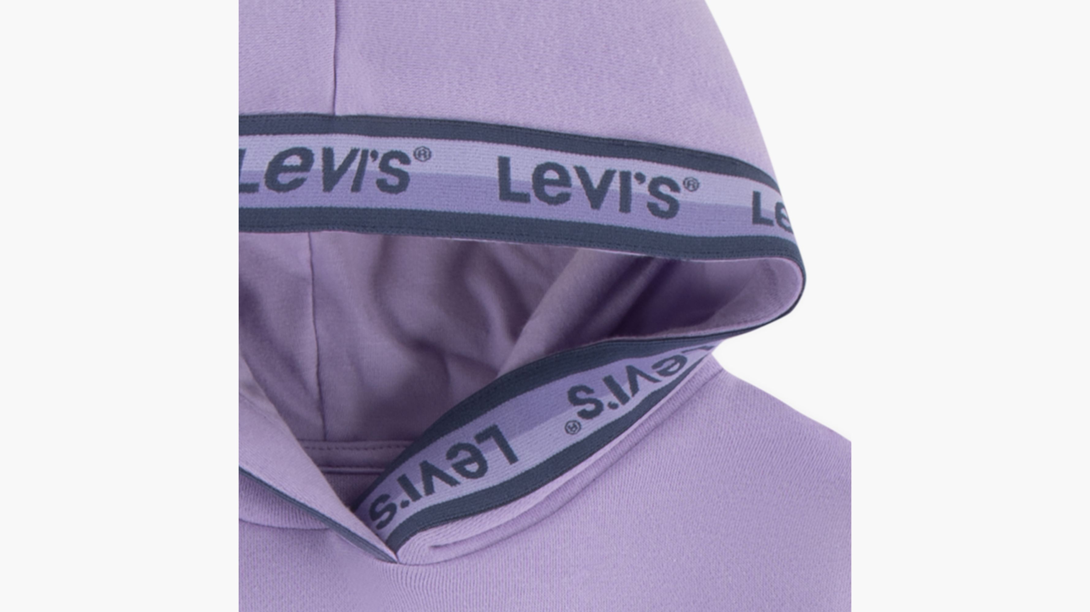 Sweat LEVIS MODERN HOODIE Fig purple 