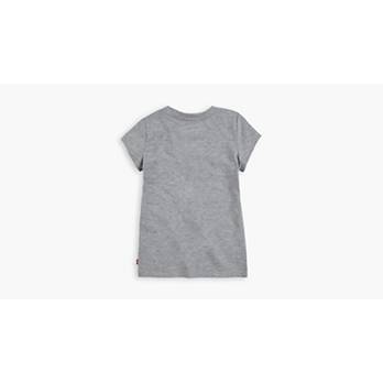 Batwing T-shirt Little Girls 4-6x - Grey | Levi's® US