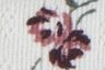 Gardenia - Beige
