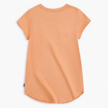 Toddler Girls 2T-4T Graphic Tee Shirt 2