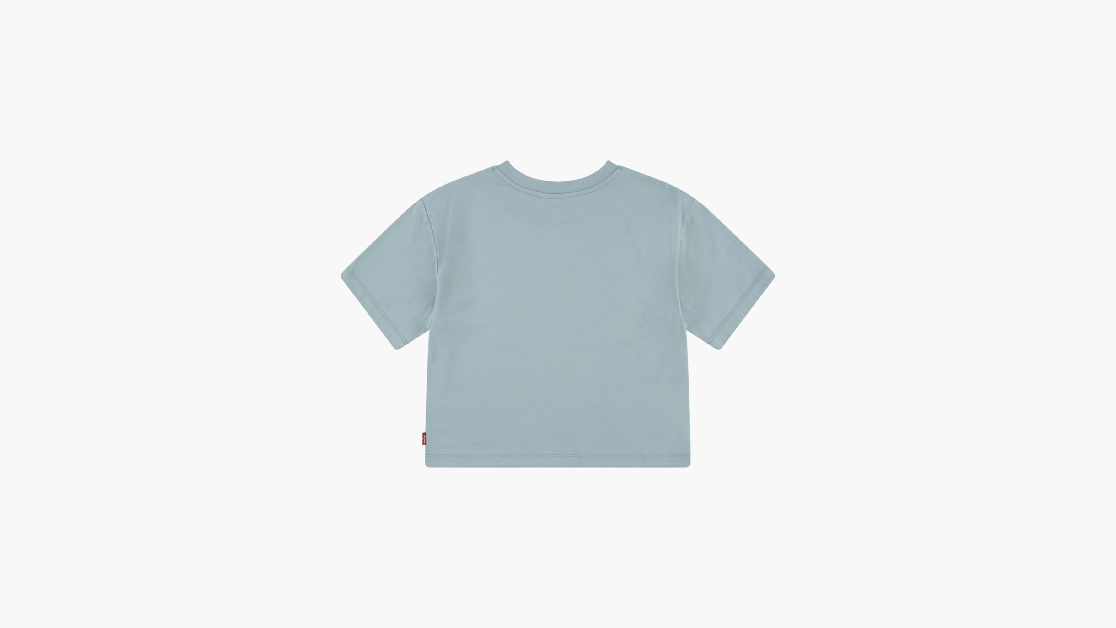 Meet And Greet Collegiate Tee Big Girls 7-16 - Blue | Levi's® US