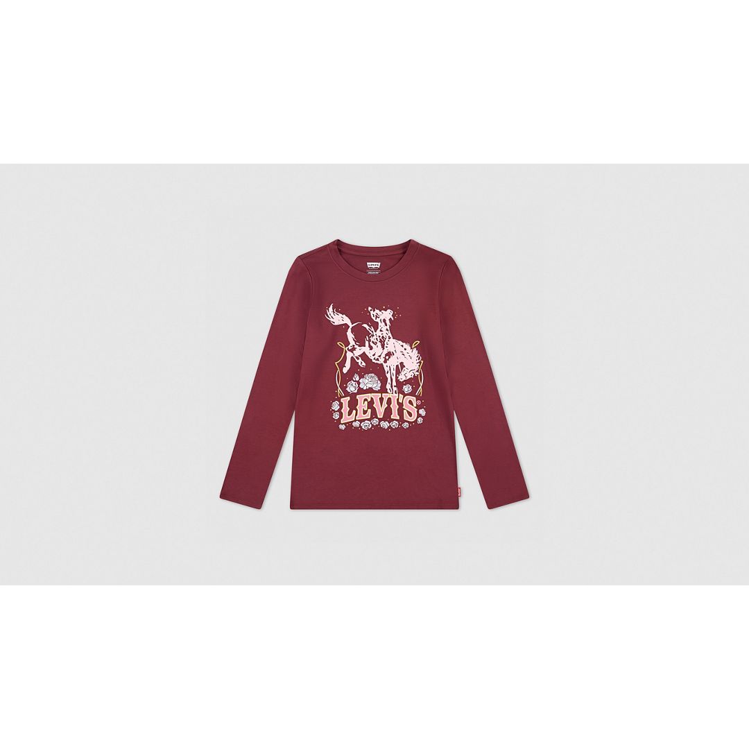 Levi's Levis Ls Horse Tee Big Girls S-xl T-shirt Xl In Brown