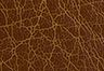 Medium Brown - Marrone - Cintura Athena (plus)