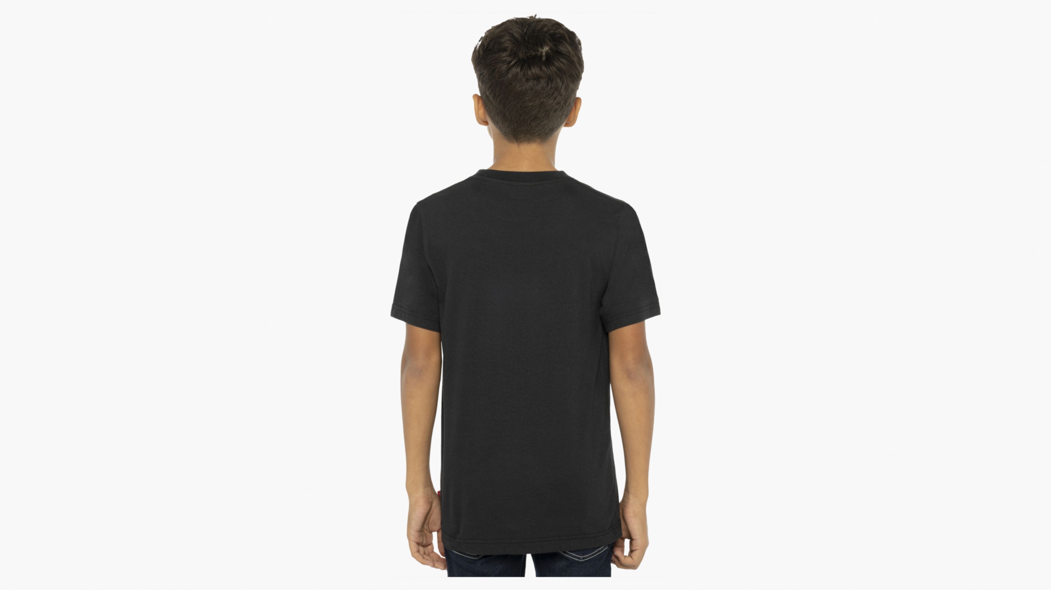Big Boys S-xl Levi's® Logo Tee Shirt 