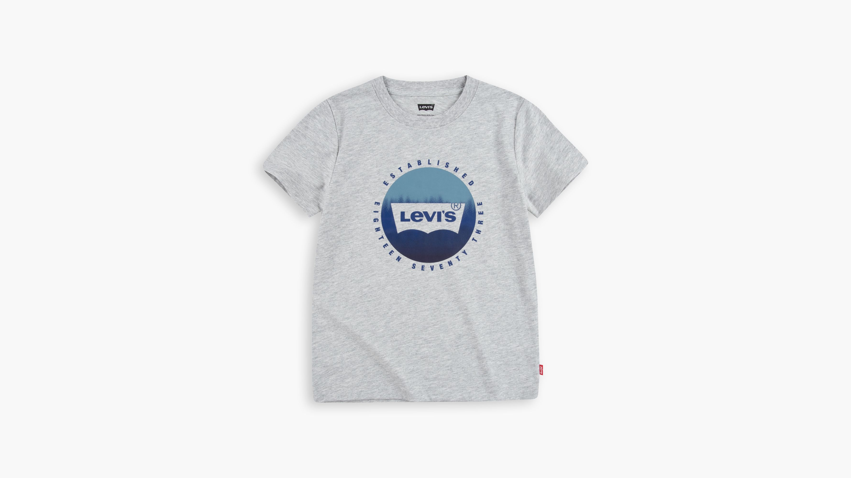 Little Boys (4-7) Graphic Tee Shirt 1