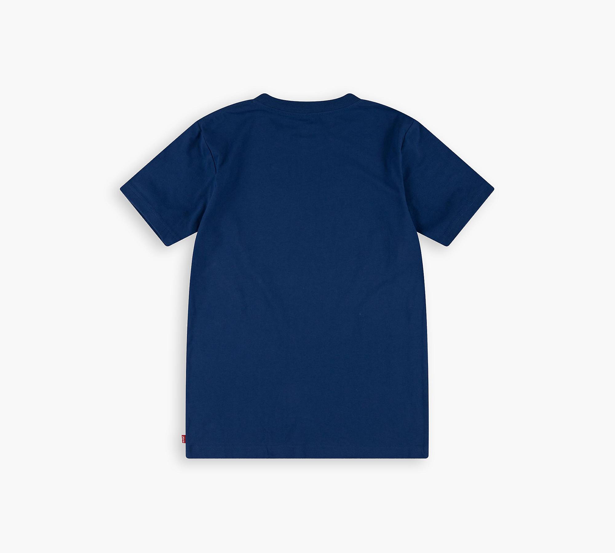 Short Sleeve Graphic T-shirt Little Boys 4-7 - Blue | Levi's® US